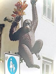 Vorschaubild Schnoor