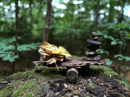 Vorschaubild In balance, AL