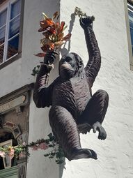 Vorschaubild Schnoor