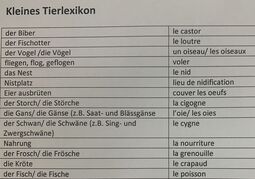 Vorschaubild Tiere im Reservat