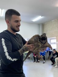 Vorschaubild Die "beißende" Wasserschildkröte hat den Weg aus den USA nach Spanien gefunden. Heutzutage dürfen solche Tiere nicht mehr ohne Weiteres verkauft werden.