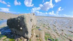 Vorschaubild Nordsee19