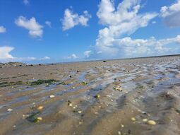 Vorschaubild Nordsee21