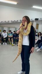 Vorschaubild Schlangen sind taub, sehen schlecht und riechen über ihre Zunge. Den Durft von Frau Adam scheint sie zu mögen.
