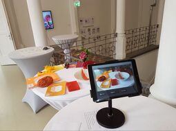 Vorschaubild schilf 31.08.2018.jpg