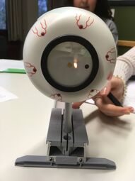 Vorschaubild 
