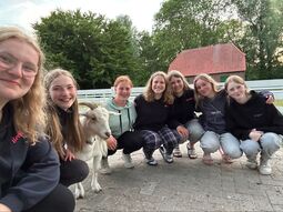 Vorschaubild 