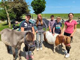 Vorschaubild Besuch von den Ponys bei den Zelten
