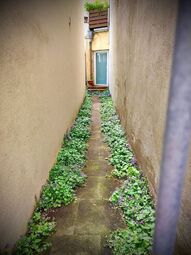 Vorschaubild Schnoor