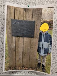 Vorschaubild 