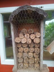 Vorschaubild Wildbienenhotel der AG mit vielen Belegungen. Die Röhren sind vorne mit Mörtel von den Bienen geschlossen. Grandios viel!