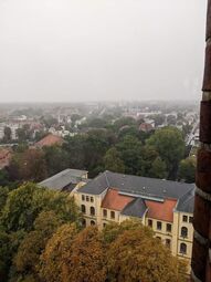 Vorschaubild 