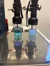Vorschaubild Nanochemie in 2026
