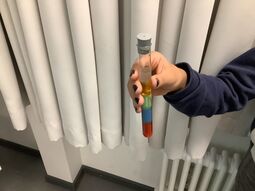 Vorschaubild Elixier der Weisheit