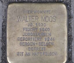 Vorschaubild 