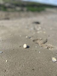 Vorschaubild Nordsee9