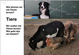 Vorschaubild 