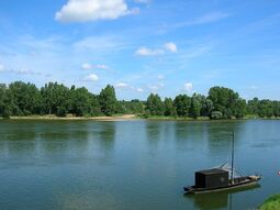 Vorschaubild la Loire avec les arbres