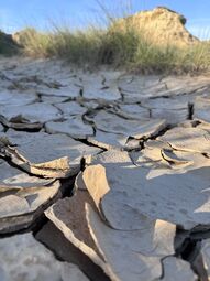 Vorschaubild Nur sehr selten gibt es Niederschläge in diesem Naturgebiet.