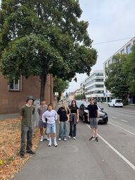 Vorschaubild 