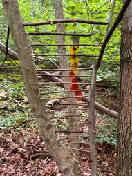Vorschaubild Autumn stairs, ALBG