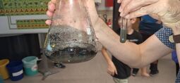 Vorschaubild Ungefiltert neben gefiltertem Wasser