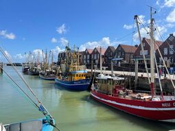 Vorschaubild Nordsee24