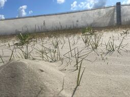 Vorschaubild Nordsee1