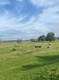 Vorschaubild Spaziergang an der Elbe