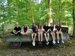 Vorschaubild Pause im Schatten auf dem Weg zum Dümmer See