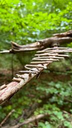 Vorschaubild Skystairs, ALBG