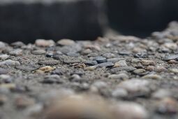 Vorschaubild Nordsee12